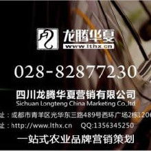 品牌策劃與網(wǎng)絡(luò)營(yíng)銷 從策略到執(zhí)行的全方位解析